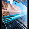 Монитор Samsung S24E650DW