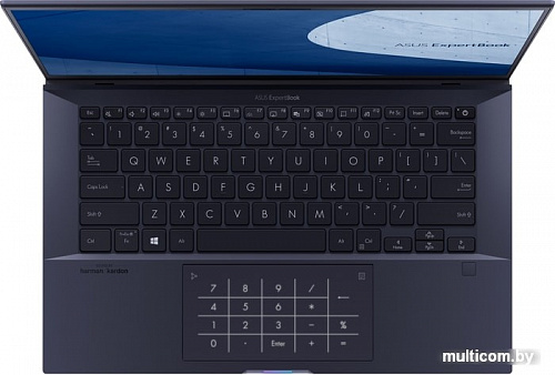 Ноутбук ASUS ExpertBook B9450FA-BM0556R