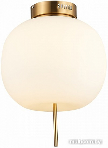 Люстра средней высоты ST Luce Lacus SL1621.202.01