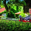 Кусторез Einhell GP-CH 18/61 Li BL-Solo 3410935 (без АКБ)