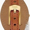 Наручные часы Fossil Carlie ES5215