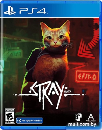 PlayStation 4 Stray