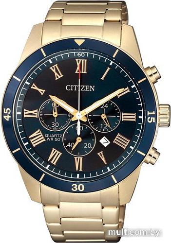 Наручные часы Citizen AN8169-58L