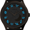 Наручные часы Timex TW2V49300