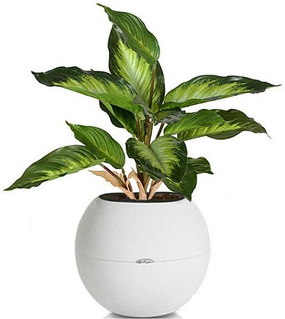 Искусственное растение Forgarden BN10754