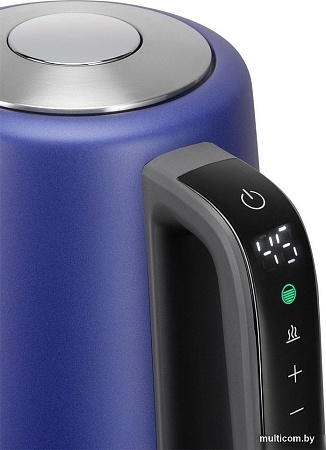 Электрический чайник Redmond (Редмонд) KM238 (синий)