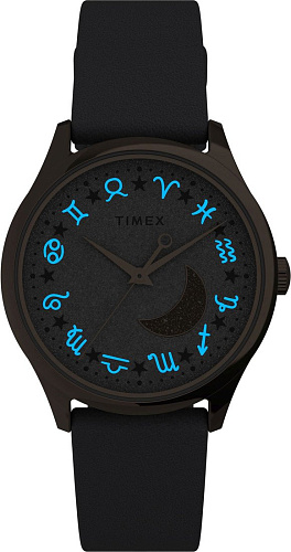 Наручные часы Timex TW2V49300