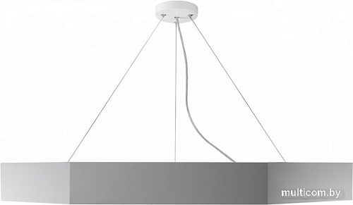Подвесная люстра ЭРА Geometria Hexagon SPO-122-W-40K-066 Б0058878