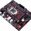 Материнская плата ASUS EX-B365M-V