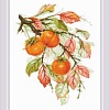 Набор для вышивания Риолис Солнечная хурма № 1988