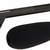 Микрофон Sennheiser MKE 600