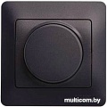 Светорегулятор (диммер) Schneider Electric Glossa GSL000836 (шоколад)
