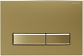 Панель смыва Burke Тип 09 109.GG.1 (матовое золото/золото)