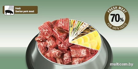 Сухой корм для собак Platinum Adult Iberico & Greens 1.5 кг