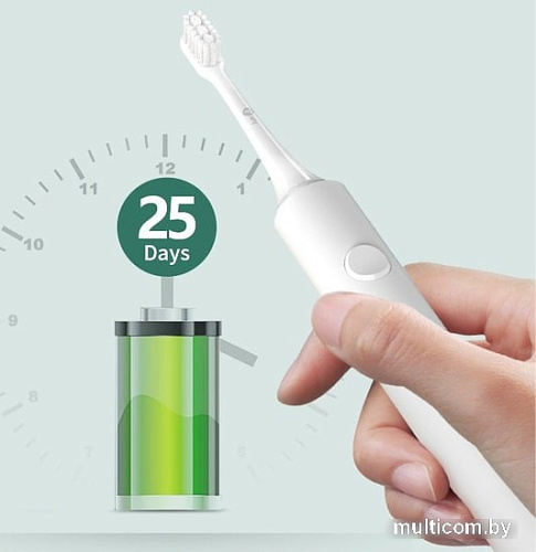 Электрическая зубная щетка Infly Sonic Electric Toothbrush T03S (футляр, 2 насадки, фиолетовый)