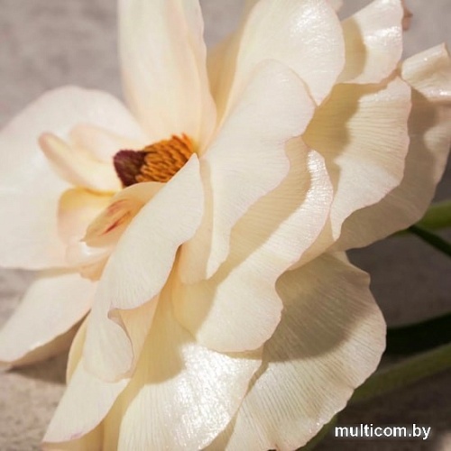 Burberry Her EdP (100 мл)