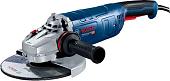 Угловая шлифмашина Bosch GWS 24-230 P Professional 06018C3100