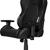 Кресло AKRacing Premium (черный)