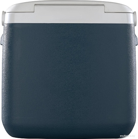 Термобокс Tesler ICC-3632 36л (синий)