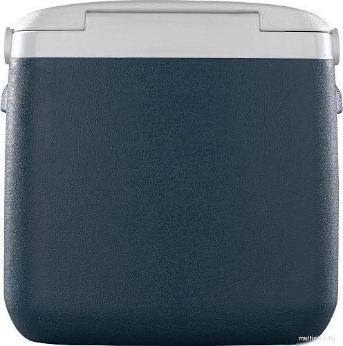 Термобокс Tesler ICC-3632 36л (синий)