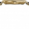 Наручные часы Timex TW2R36400