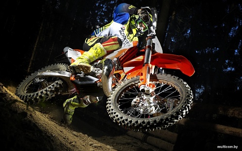 Внедорожные мотошины Bridgestone Battlecross X20 70/100R19 42M TT