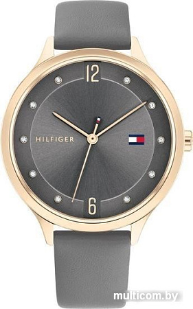 Наручные часы Tommy Hilfiger 1782430