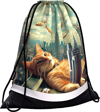 Мешок для обуви Erich Krause Big City Cats 62844