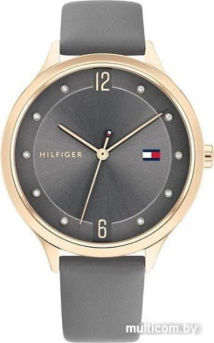 Наручные часы Tommy Hilfiger 1782430