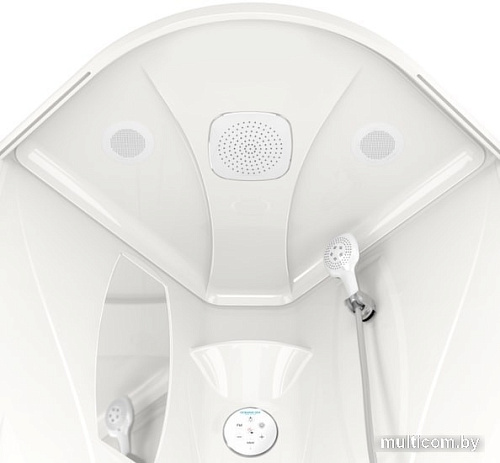 Душевая кабина Domani-Spa Elegance 90x90 с гидромассажем (прозрачное стекло/белые)