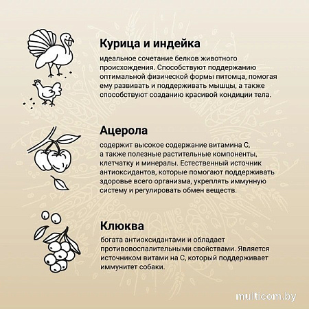 Сухой корм для собак Craftia Natura для щенков миниат. и мелких пород с курицей и индейкой (2кг)