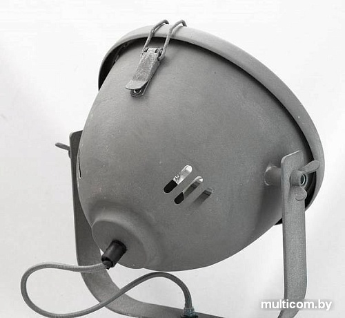 Точечный светильник Lussole Loft LSP-9880