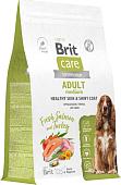 Сухой корм для собак Brit Dog Adult Medium Healthy Skin&Shiny Coat с лососем и индейкой 12 кг
