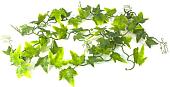Искусственное растение Lucky Reptile Ivy Vine LP-72