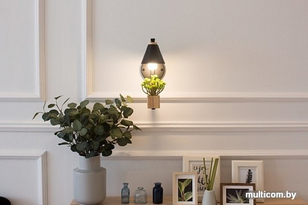 Бра Home Light Астерия B149-2-B (Черный)