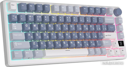 Royal Kludge RK-M75 RGB Ocean Blue (RK Silver)