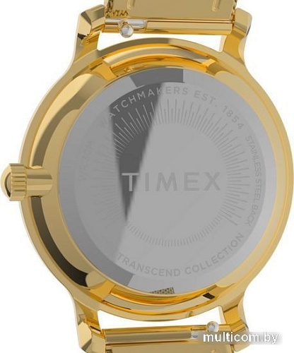 Наручные часы Timex Transcend TW2V51900