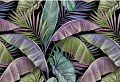 Фотообои Vimala Рисованные листья 11 270x400