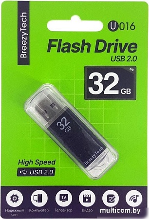 USB Flash BreezyTech U016 32GB (черный)