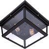 Припотолочная люстра LOFT IT LOFT3110-2C Black