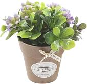 Искусственное растение Sundays Home 6405000866D (фиолетовый)