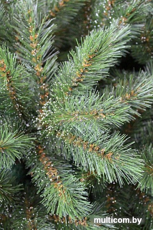 Сосна Beatrees Crystal 1.6 м