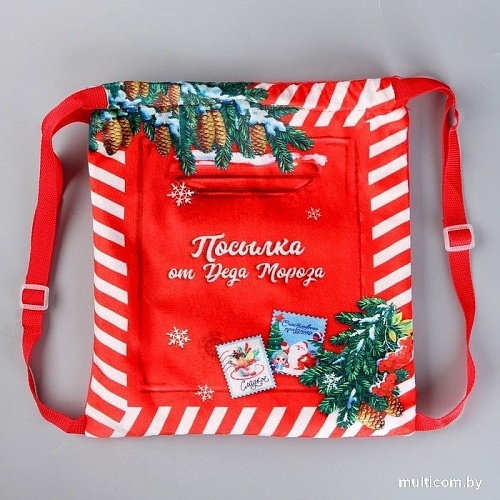 Мешок для обуви Milo Toys Посылка от Деда Мороза 9720697