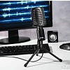 Микрофон Hama MIC-USB Allround 00139906