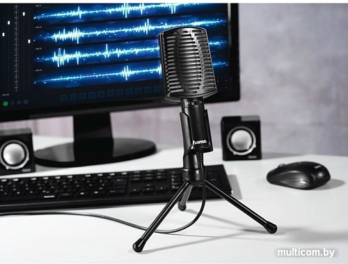 Микрофон Hama MIC-USB Allround 00139906
