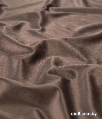 Штора Legrand Велюр 2x2.6 м 58118340 (трюфель)