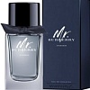 Burberry Mr. Burberry Indigo Edt (100 мл)