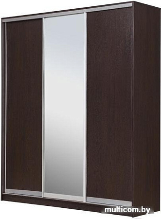 Шкаф-купе Рэйгрупп 176450 VVX Elgon РГ-03.02 (венге/хром)