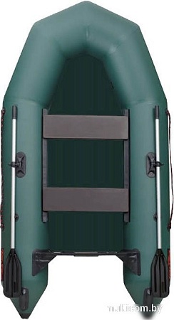 Моторно-гребная лодка Leader Boats Тайга-290-М 2902021 (зеленый)