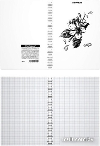 Общая тетрадь Erich Krause Blossom Black and White 80 л клетка 54118